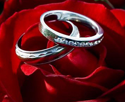 Sathiyaevents's profile picture. Sathiya Events And Weddings Planning Pvt. Ltd.Coordinate, manage ,execute your special event perfectly.We take care all the services of events and weddings.