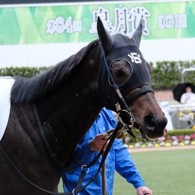 torajyakisumai1's profile picture. #ミスマンマミーア 担当UMAJO🐎
たくさんの感動をありがとう😊
今は愛馬を全力応援中ꉂꉂ📣
 #Kis-My-Ft2 はデビュー前から。3月で一区切り。たくさんの幸せをありがとう🤗💗