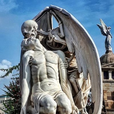 SWYM4444's profile picture. 