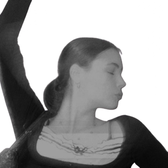 stridentego's profile picture. ⠀