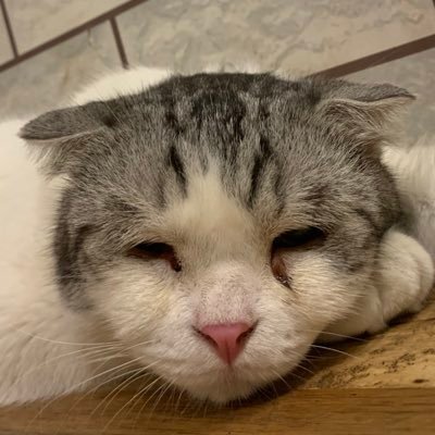 lian1511941's profile picture. my alter ego