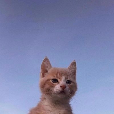 navscy's profile picture. 🛰️🌍🧭📍