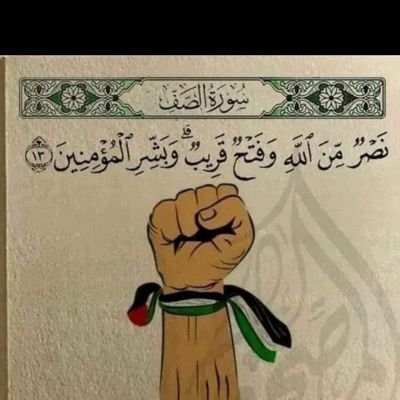 MrwRasy's profile picture. مشاكس ومحب للكل العرب