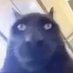 Goobergooper9000 (@deathlyspairo) Twitter profile photo Goobergooper9000 (@deathlyspairo) Twitter profile photo