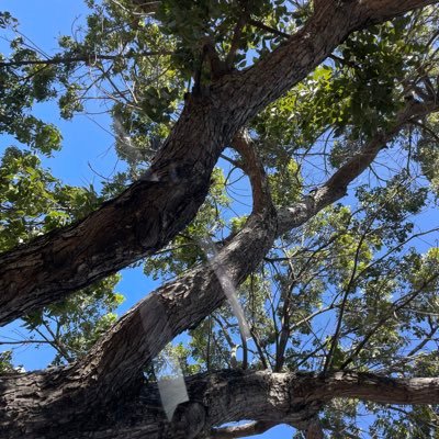 armandopr_'s profile picture. | ☕ 🍂🎶 |