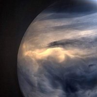 Banned_Identity (@banned_identity) 's Twitter Profile Photo