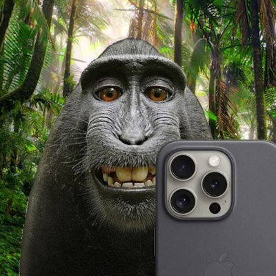 $NARUTO | selfie monkey 🤳