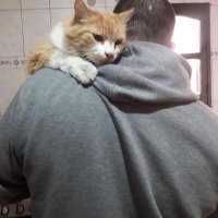 Manuel (@manuel92sj) 's Twitter Profile Photo