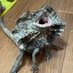 ルル🦎🐍🐸 (@blizzard_1121_) Twitter profile photo ルル🦎🐍🐸 (@blizzard_1121_) Twitter profile photo