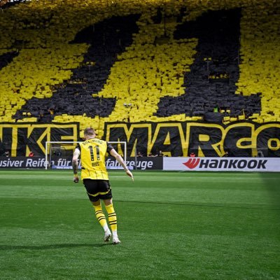 yBE3A9VgqKjqgdZ's profile picture. #BVB💛🖤🐝