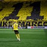 yBE3A9VgqKjqgdZ's profile picture. #BVB💛🖤🐝