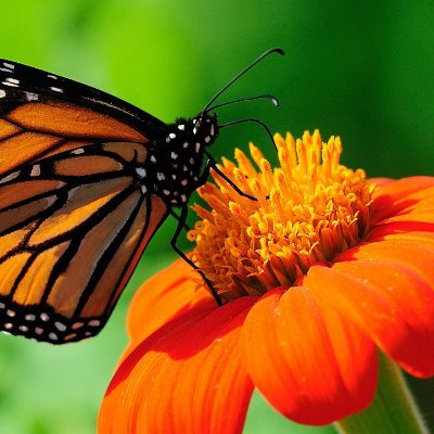 ttwintwo's profile picture. 