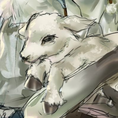 Ruu || COMS OPEN 2/4 Profile