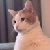 I.i (@doritostts) Twitter profile photo I.i (@doritostts) Twitter profile photo