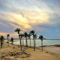 ارض السواد (@aylyaam94592) 's Twitter Profile
