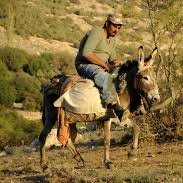 _donkeyridin's profile picture. 