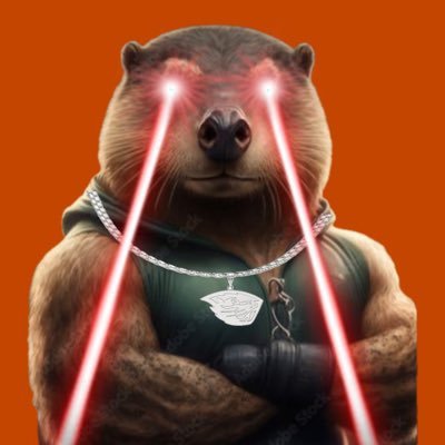 @MrBeavv
