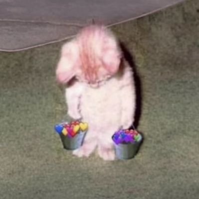 bear10423455775's profile picture. lottery