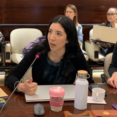 PhD student at @SOASDevelopment
Development Studies @Cambridge_Uni
Political scientist @TrinityCollege | Ex @FAO
Usual disclaimers 🇵🇪