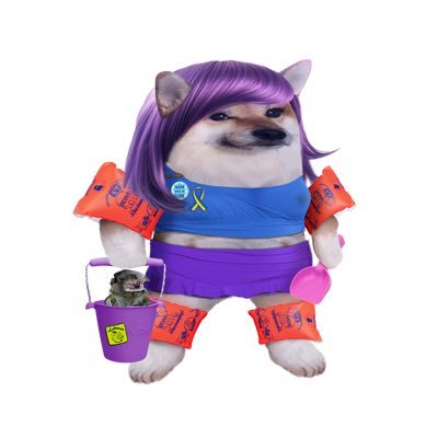 idk. nerd things. dogs? she/her. ADHD. Epilepsy. NAFO forger