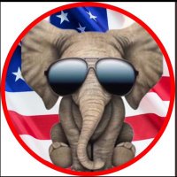 Le mitch 🐘❤️🇺🇸(@LarryMitch53674) 's Twitter Profile Photo