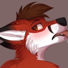 NaughtyFoxiAD's profile picture. The AD of @FoxiTheFox.
🐱💙@BlueMewAD
🔝Top Fox.
18+