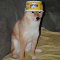 evantgard (@evantgard) 's Twitter Profile