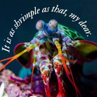Arthropode Anonyme (π³οΈβπ) (@shrimp_is_bug) 's Twitter Profile
