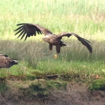 Amateur Wildlife Photographer in Devon
Landscape Contractor