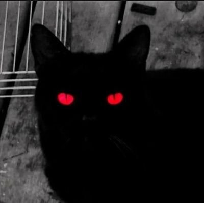 Xserve1337's profile picture. 