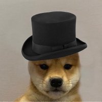 讬讜住讬 讛讙讜讬 (@yossithegoy) 's Twitter Profile Photo 讬讜住讬 讛讙讜讬 (@yossithegoy) 's Twitter Profile Photo