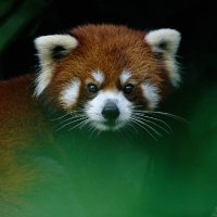 Clark Roberts (@clarkro00735040) 's Twitter Profile