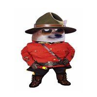Tyler Mad NAFO 🇨🇦🇨🇦🇨🇦 (@madtyagain) 's Twitter Profile Photo Tyler Mad NAFO 🇨🇦🇨🇦🇨🇦 (@madtyagain) 's Twitter Profile Photo