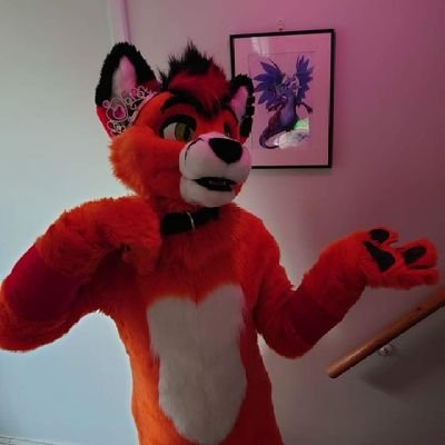 sherlay919899's profile picture. Dutch fulltime Fursuitmaker ✂️come join the Sherlay Fursuit maker ✂️ DM open for quote & question 18+only I do not work with Minor🐾🐾