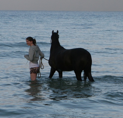 StephH1989's profile picture. life, freedom & courage... the words I live by. Music, art, animals, nature, photography, equality... be YOURSELF! 3