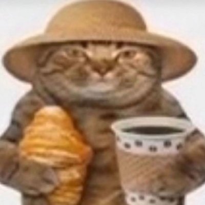 Enzo_Vignone_'s profile picture. iri - usp