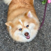 TiffMack (@tiff_mack) 's Twitter Profile