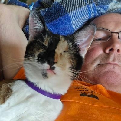 DwayneDachel's profile picture. 