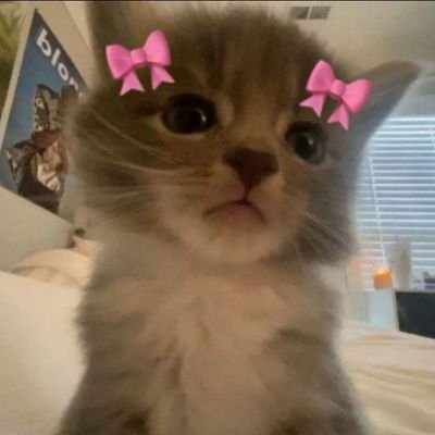 smartmonkey55's profile picture. WoW nerd