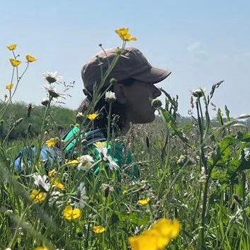 WeidevogelsGld's profile picture. Samen met vrijwilligers en boeren zet ik me in voor de bescherming en monitoring van weidevogels in Gelderland.