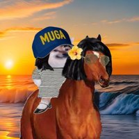 🦈🥕Aushka 001_Fella🥕🦈🇺🇦🇦🇲(@Aushka001_Fella) 's Twitter Profile Photo