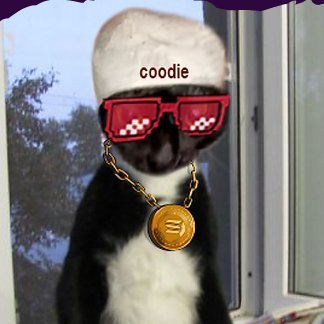 OOANFT's profile picture. #ImaginaryOnes
$COODIE