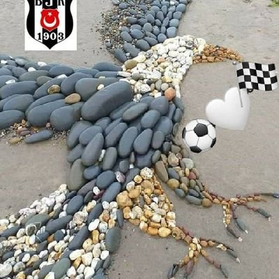 Beşiktaş orta sayfa