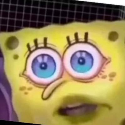 betterbudy's profile picture. 