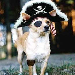Barnacle_Bill_'s profile picture. 