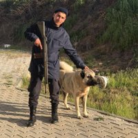S'arıgül (@ferhat_srgl0) 's Twitter Profile
