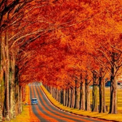 L7_u77's profile picture.