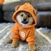 Viver de Cripto (@viverdecripto) Twitter profile photo Viver de Cripto (@viverdecripto) Twitter profile photo