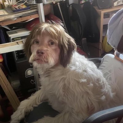 prymefps's profile picture. 