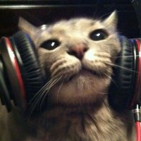 pr1me (@pr1mecs2) 's Twitter Profile